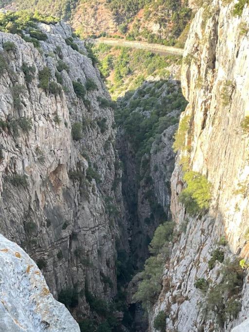 Casa Rural Alla Bajo Canada del Real Tesoro Εξωτερικό φωτογραφία